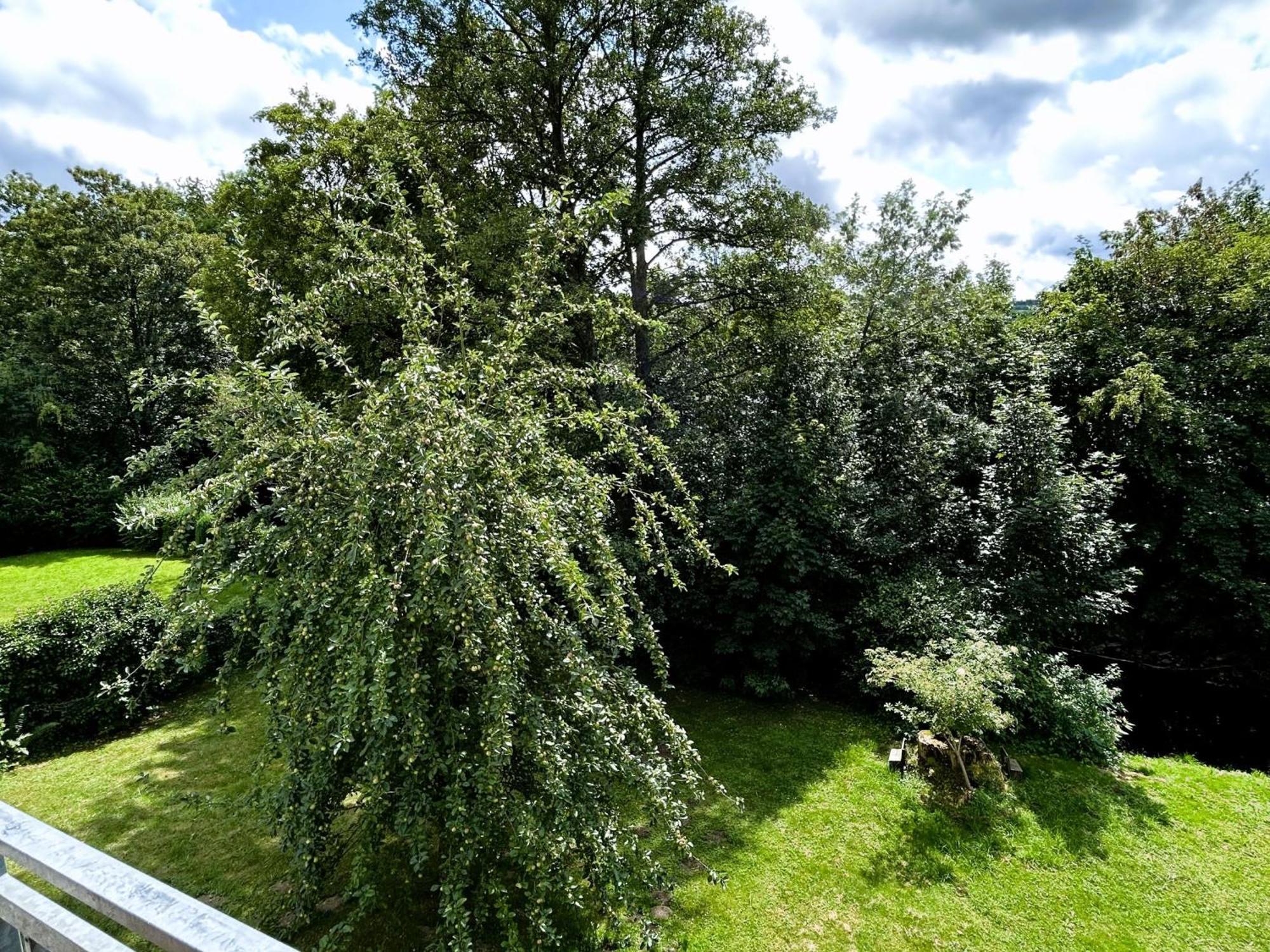 Ferienwohnung Sauerland An Der Ruhr Olsberg Extérieur photo