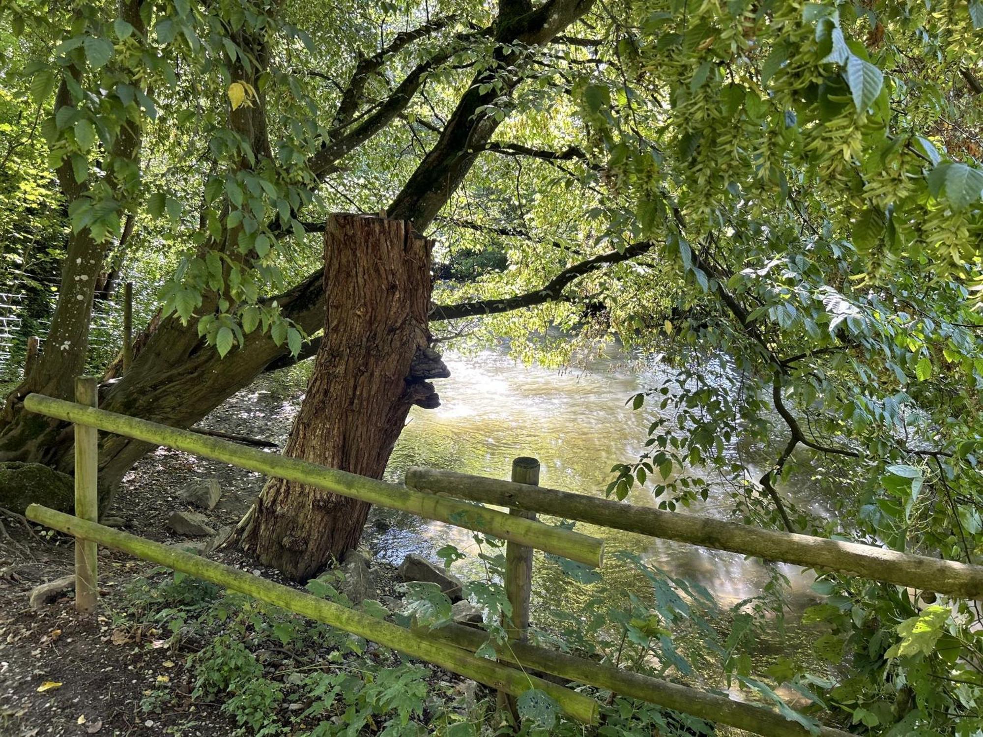 Ferienwohnung Sauerland An Der Ruhr Olsberg Extérieur photo